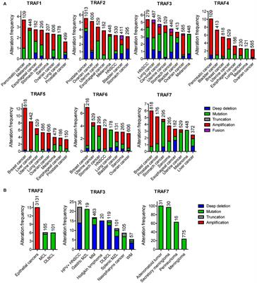 Genetic Alterations of TRAF Proteins in Human Cancers